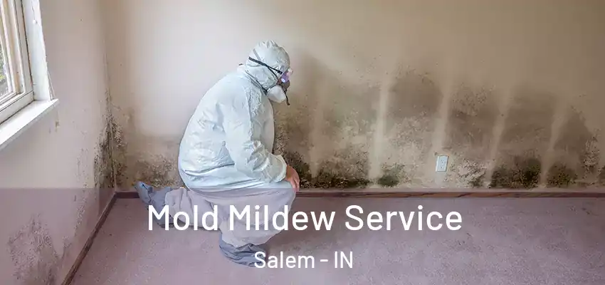  Mold Mildew Service Salem - IN