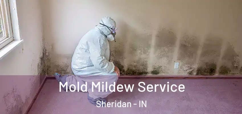  Mold Mildew Service Sheridan - IN