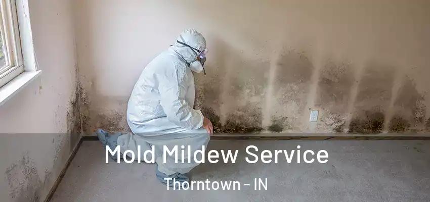 Mold Mildew Service Thorntown - IN