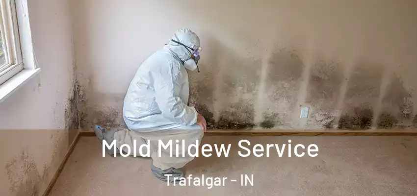  Mold Mildew Service Trafalgar - IN