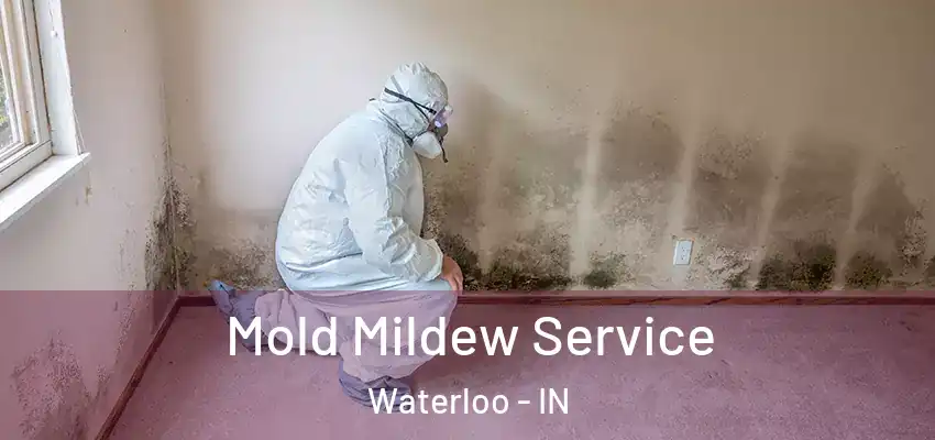 Mold Mildew Service Waterloo - IN