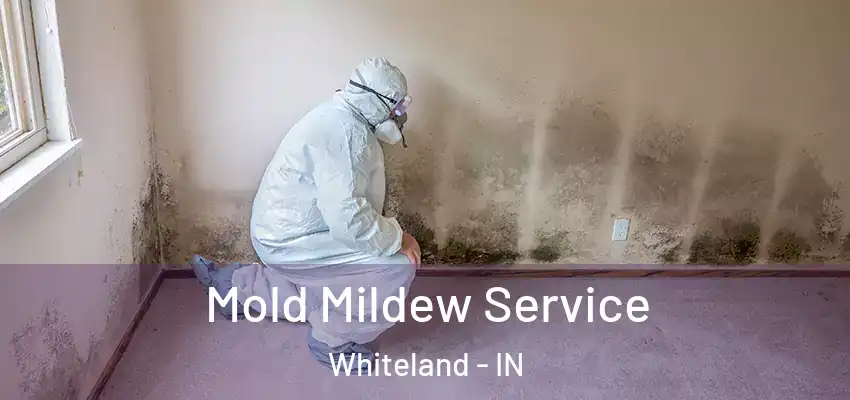  Mold Mildew Service Whiteland - IN