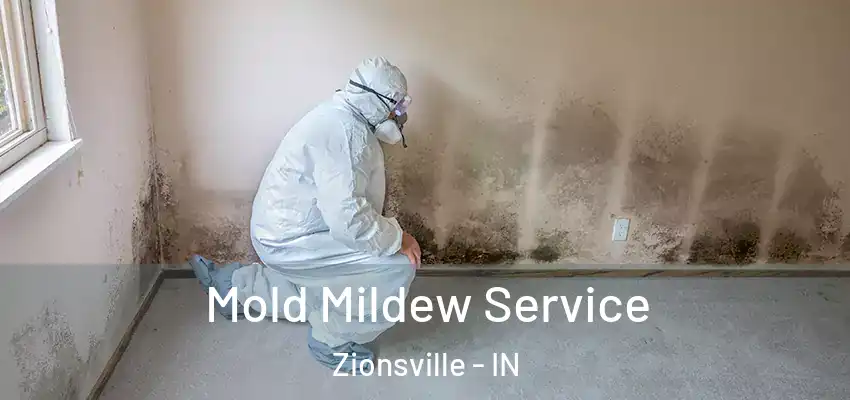  Mold Mildew Service Zionsville - IN