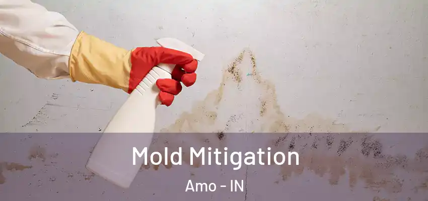  Mold Mitigation Amo - IN