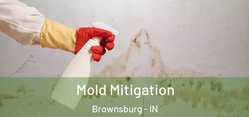  Mold Mitigation Brownsburg - IN