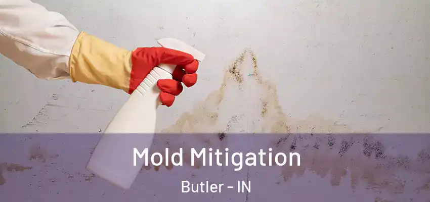  Mold Mitigation Butler - IN
