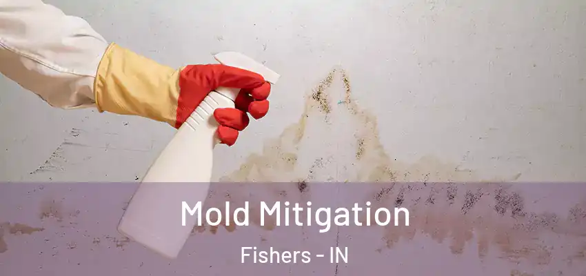  Mold Mitigation Fishers - IN