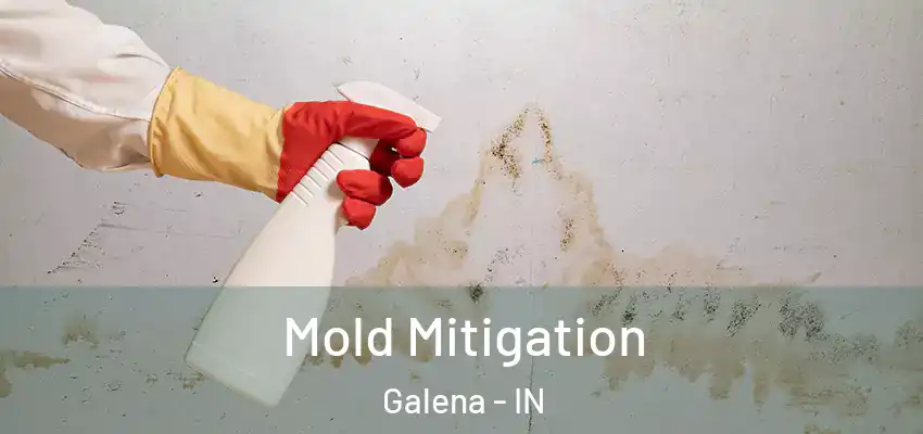  Mold Mitigation Galena - IN