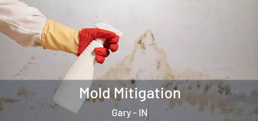 Mold Mitigation Gary - IN
