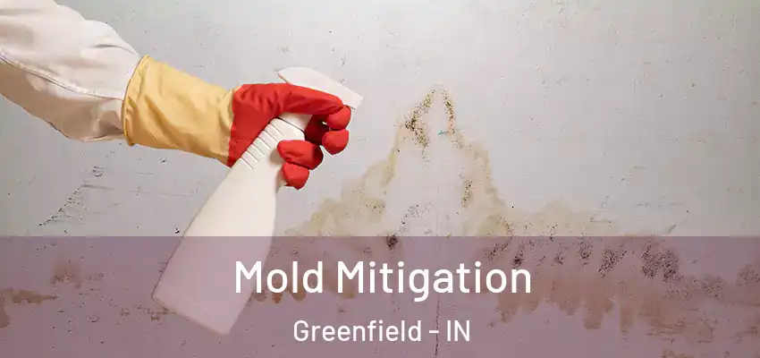  Mold Mitigation Greenfield - IN