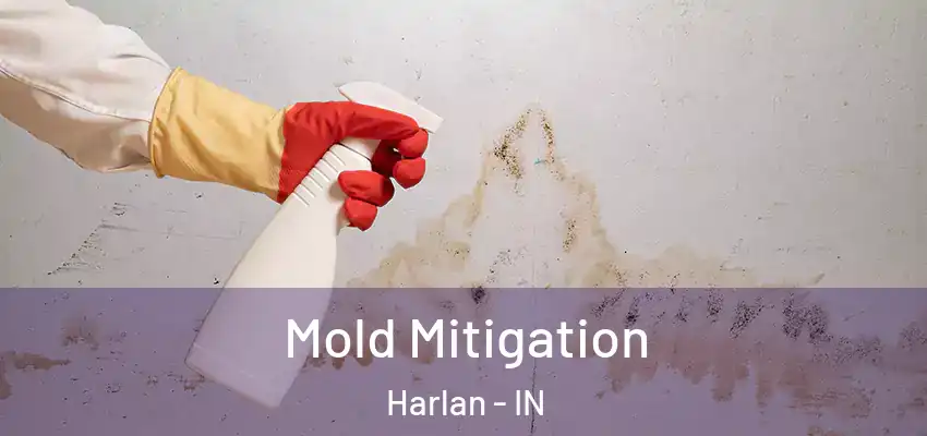  Mold Mitigation Harlan - IN