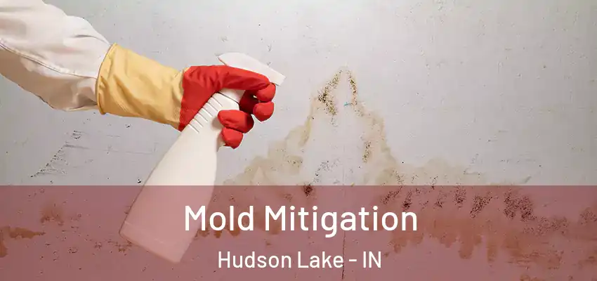  Mold Mitigation Hudson Lake - IN
