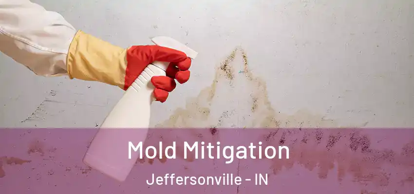  Mold Mitigation Jeffersonville - IN