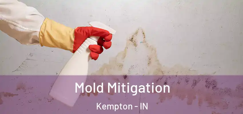  Mold Mitigation Kempton - IN