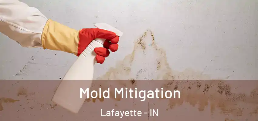 Mold Mitigation Lafayette - IN