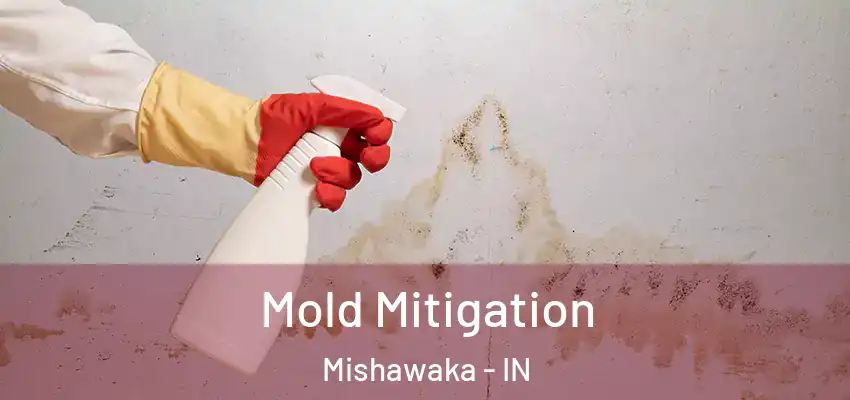  Mold Mitigation Mishawaka - IN