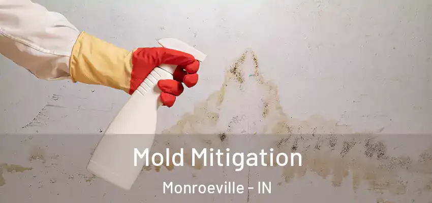  Mold Mitigation Monroeville - IN