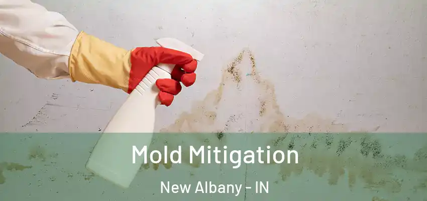  Mold Mitigation New Albany - IN