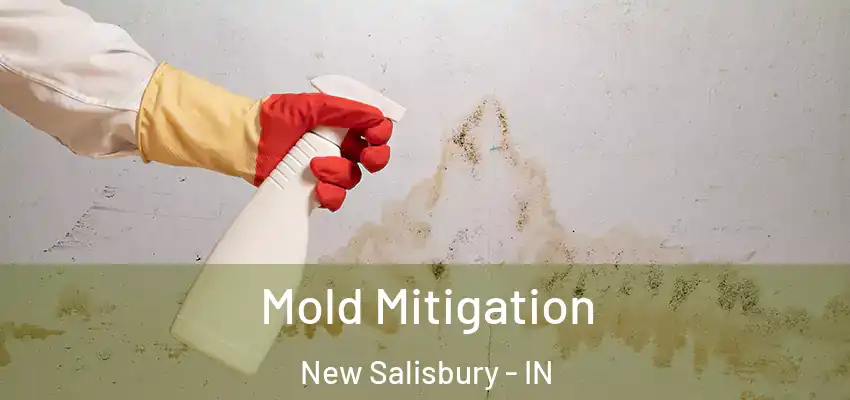  Mold Mitigation New Salisbury - IN