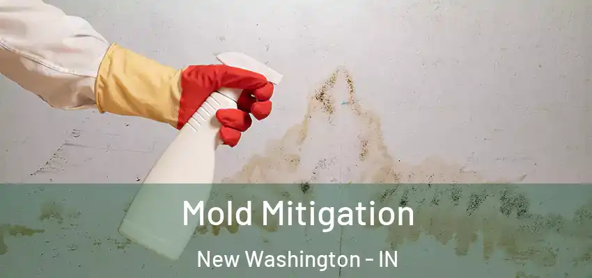  Mold Mitigation New Washington - IN
