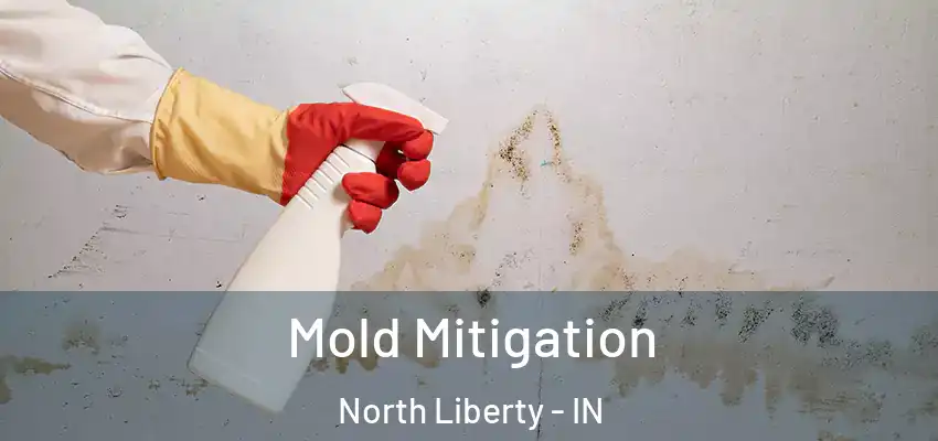  Mold Mitigation North Liberty - IN
