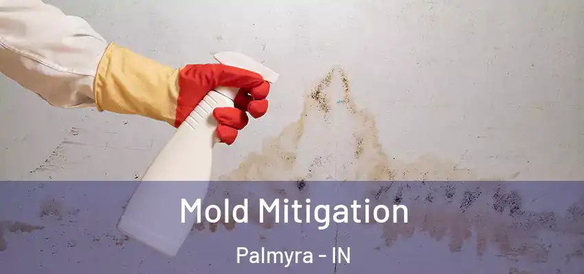  Mold Mitigation Palmyra - IN