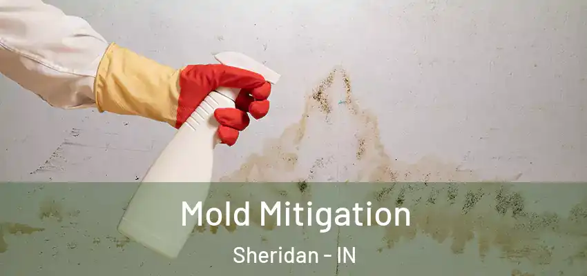  Mold Mitigation Sheridan - IN