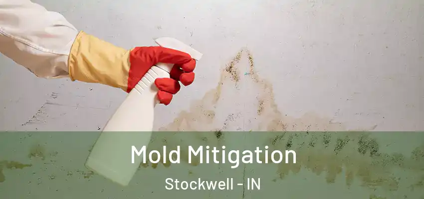  Mold Mitigation Stockwell - IN