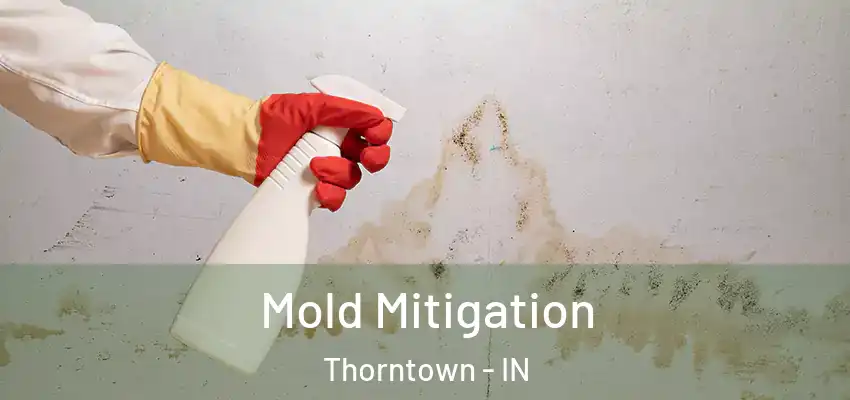  Mold Mitigation Thorntown - IN