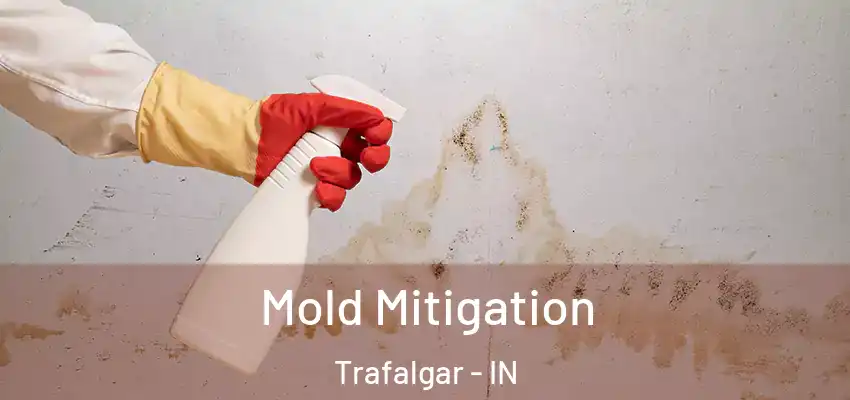  Mold Mitigation Trafalgar - IN