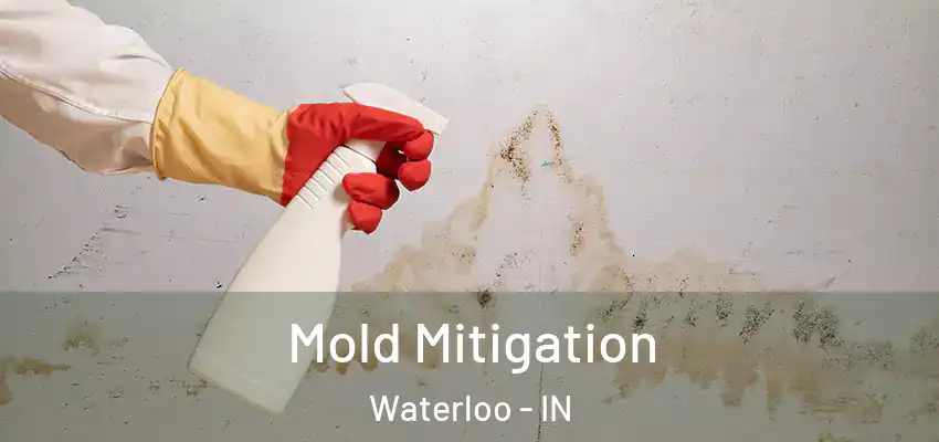 Mold Mitigation Waterloo - IN