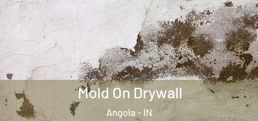  Mold On Drywall Angola - IN