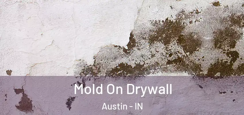  Mold On Drywall Austin - IN