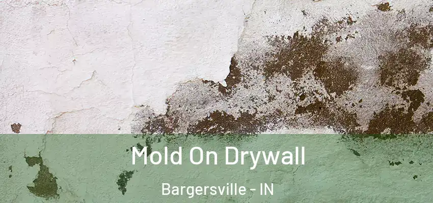 Mold On Drywall Bargersville - IN