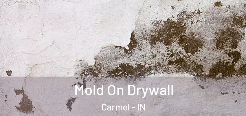  Mold On Drywall Carmel - IN