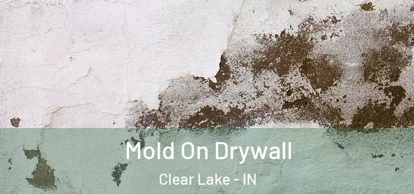  Mold On Drywall Clear Lake - IN