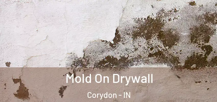  Mold On Drywall Corydon - IN