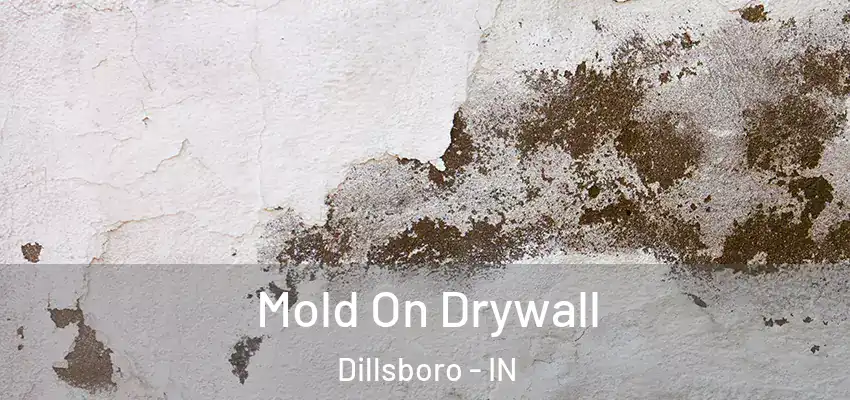  Mold On Drywall Dillsboro - IN