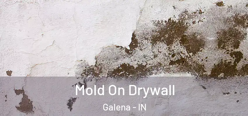 Mold On Drywall Galena - IN