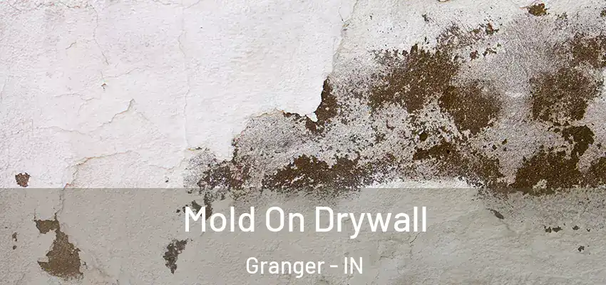 Mold On Drywall Granger - IN