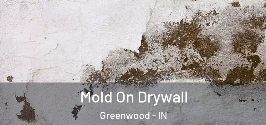 Mold On Drywall Greenwood - IN