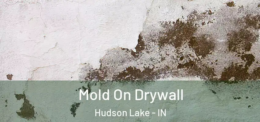  Mold On Drywall Hudson Lake - IN