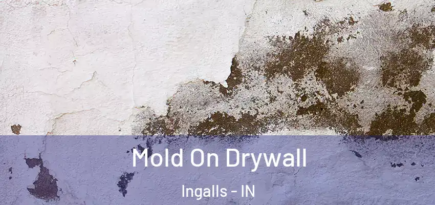  Mold On Drywall Ingalls - IN