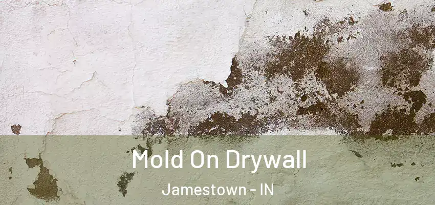  Mold On Drywall Jamestown - IN