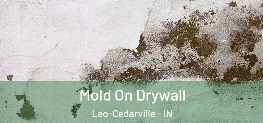  Mold On Drywall Leo-Cedarville - IN