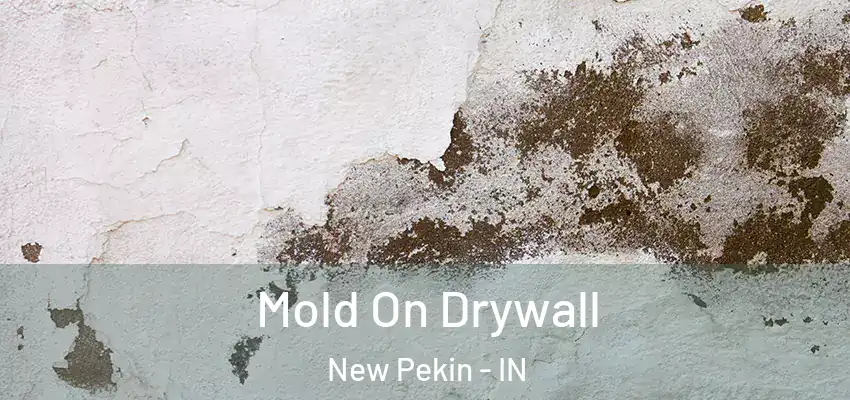  Mold On Drywall New Pekin - IN