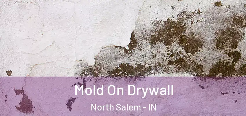  Mold On Drywall North Salem - IN