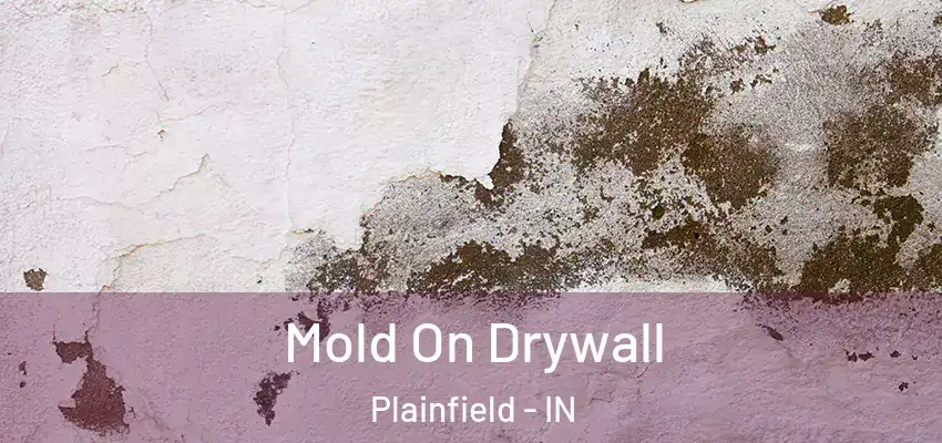  Mold On Drywall Plainfield - IN