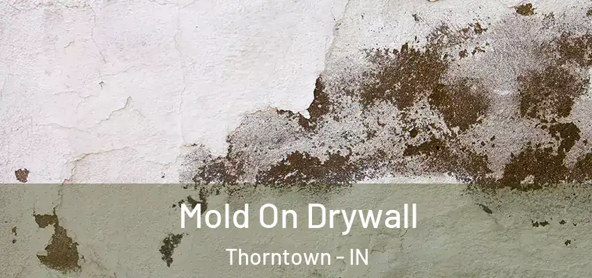  Mold On Drywall Thorntown - IN
