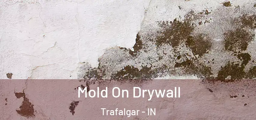  Mold On Drywall Trafalgar - IN